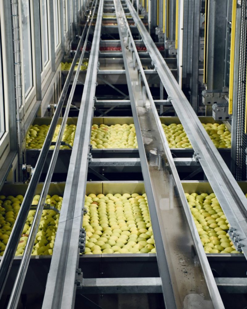 Fabrica alimentaria